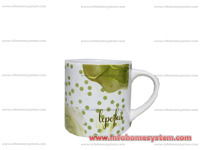 SOLJA LEPOJKA POPULAR                                       